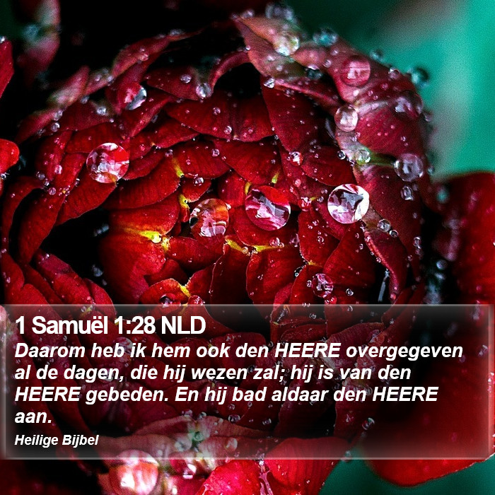 1 Samuël 1:28 NLD Bible Study