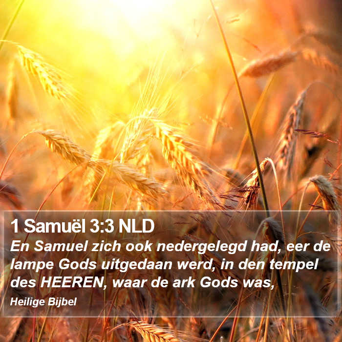 1 Samuël 3:3 NLD Bible Study