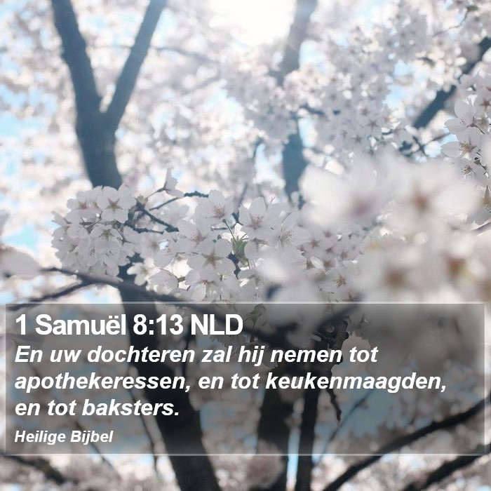 1 Samuël 8:13 NLD Bible Study