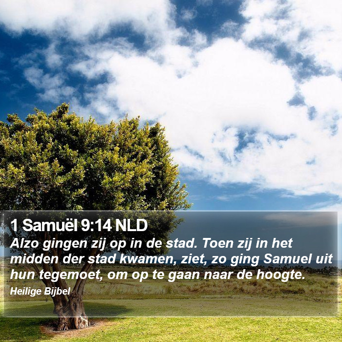 1 Samuël 9:14 NLD Bible Study