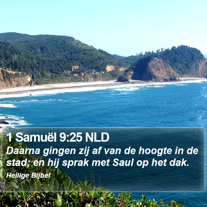 1 Samuël 9:25 NLD Bible Study