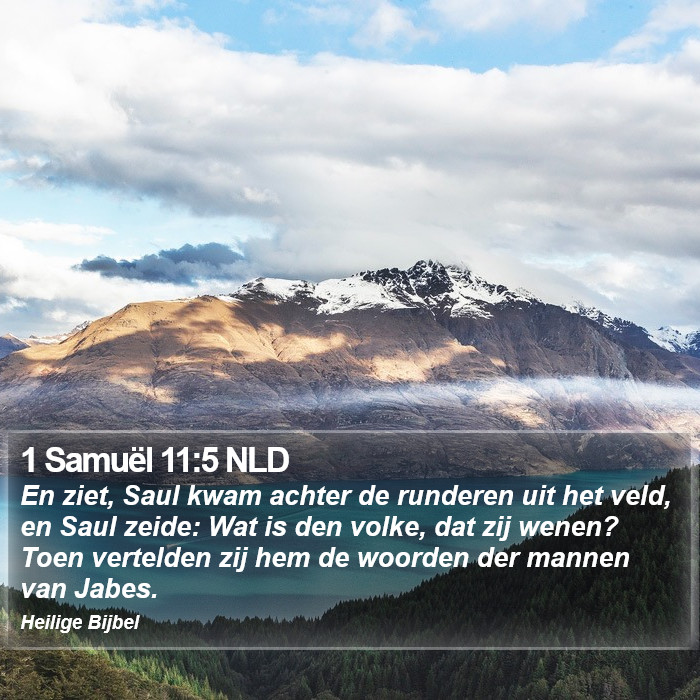 1 Samuël 11:5 NLD Bible Study