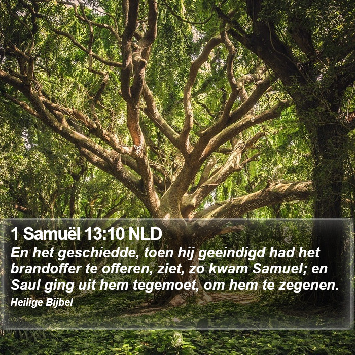 1 Samuël 13:10 NLD Bible Study