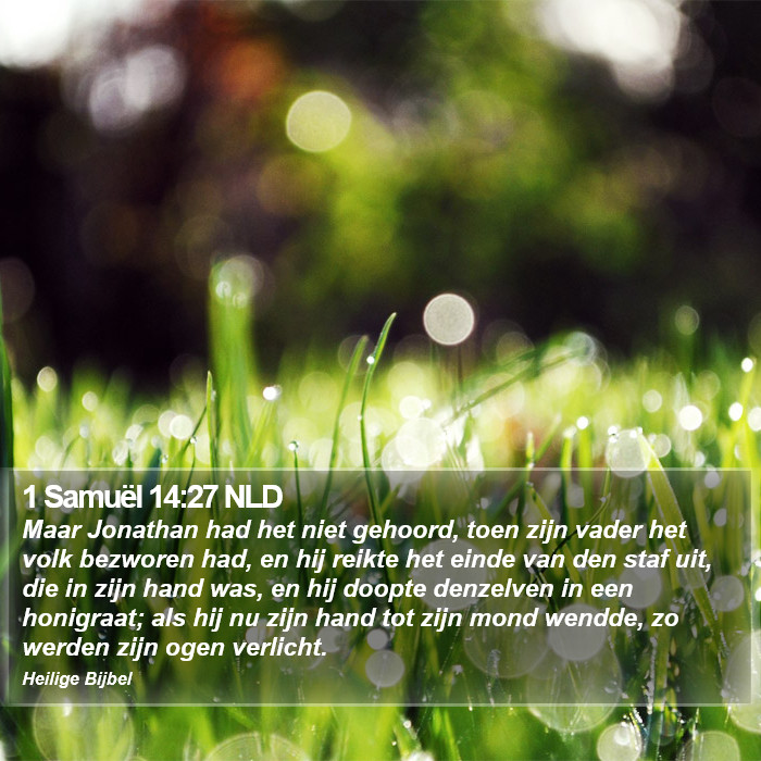 1 Samuël 14:27 NLD Bible Study