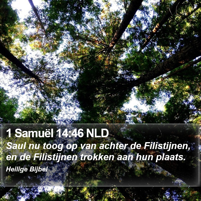 1 Samuël 14:46 NLD Bible Study