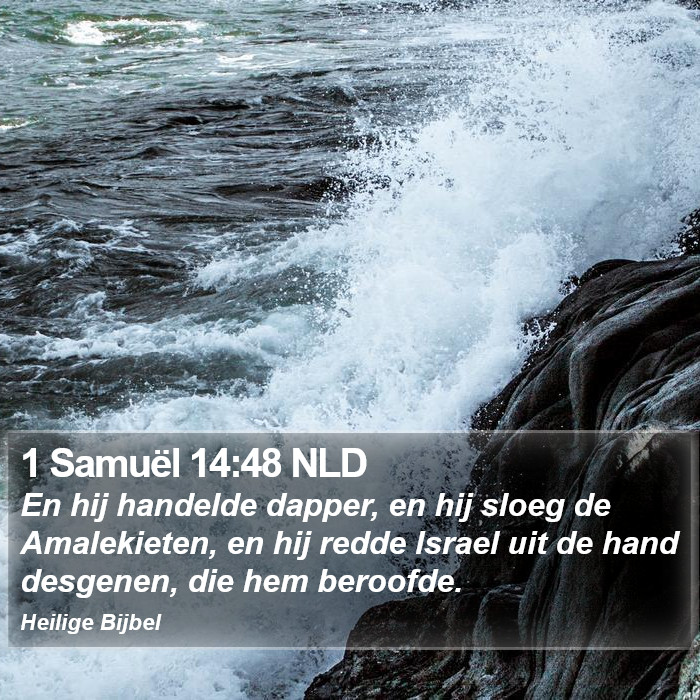 1 Samuël 14:48 NLD Bible Study