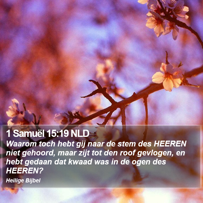 1 Samuël 15:19 NLD Bible Study