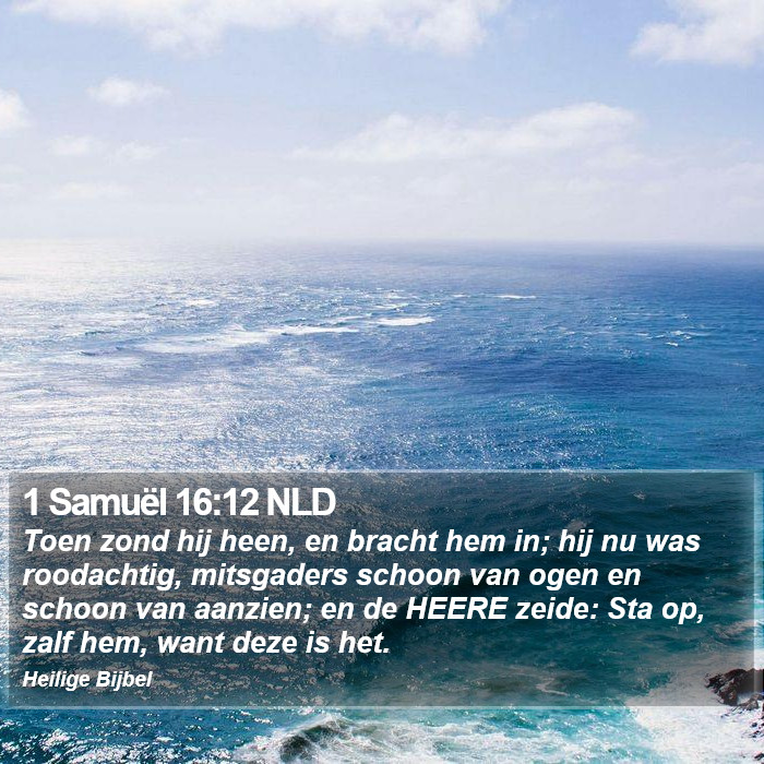 1 Samuël 16:12 NLD Bible Study