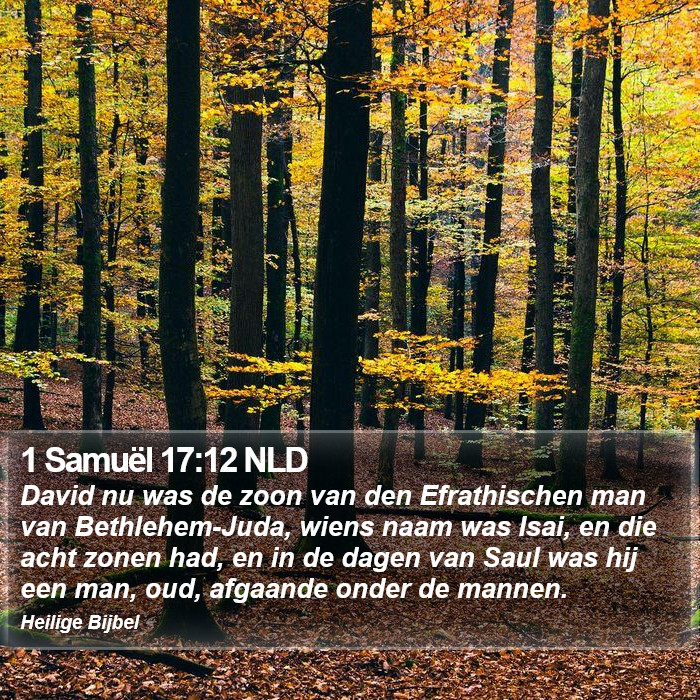 1 Samuël 17:12 NLD Bible Study