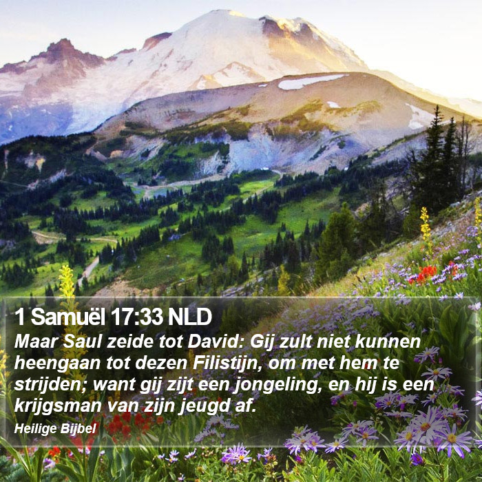 1 Samuël 17:33 NLD Bible Study