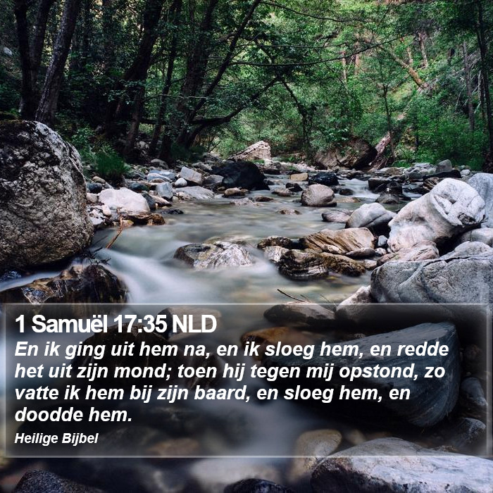 1 Samuël 17:35 NLD Bible Study