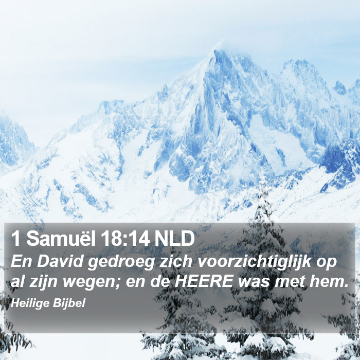 1 Samuël 18:14 NLD Bible Study