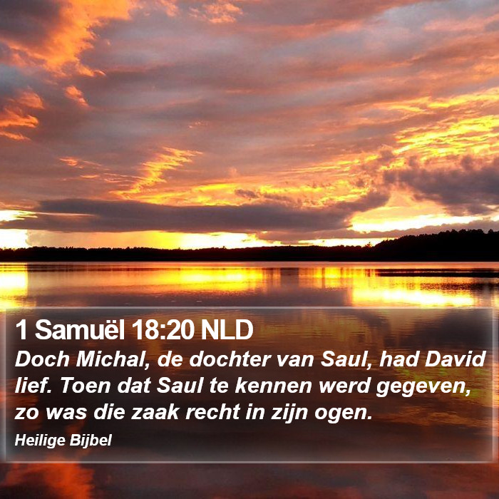 1 Samuël 18:20 NLD Bible Study