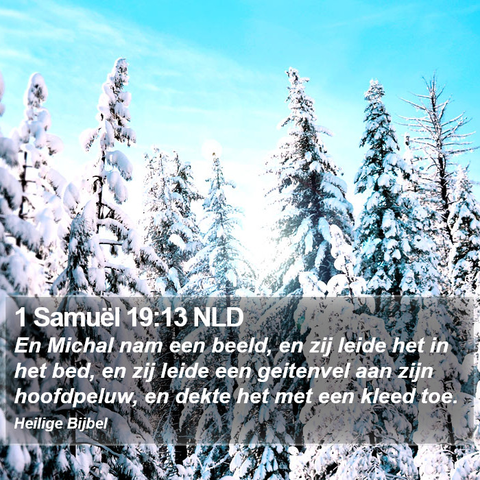 1 Samuël 19:13 NLD Bible Study