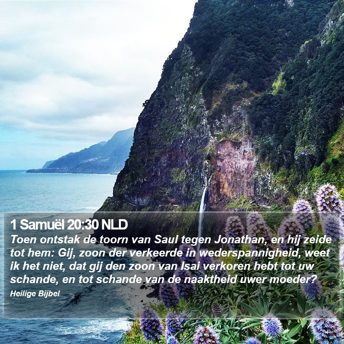 1 Samuël 20:30 NLD Bible Study