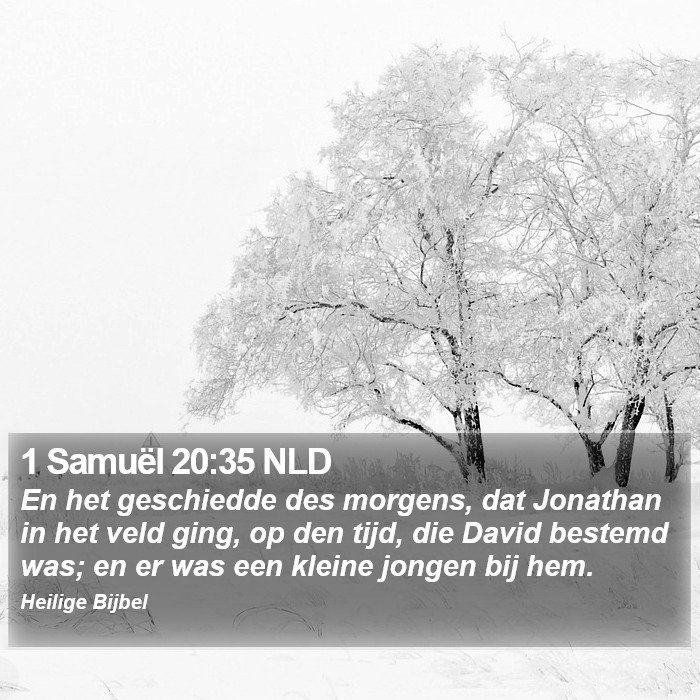 1 Samuël 20:35 NLD Bible Study