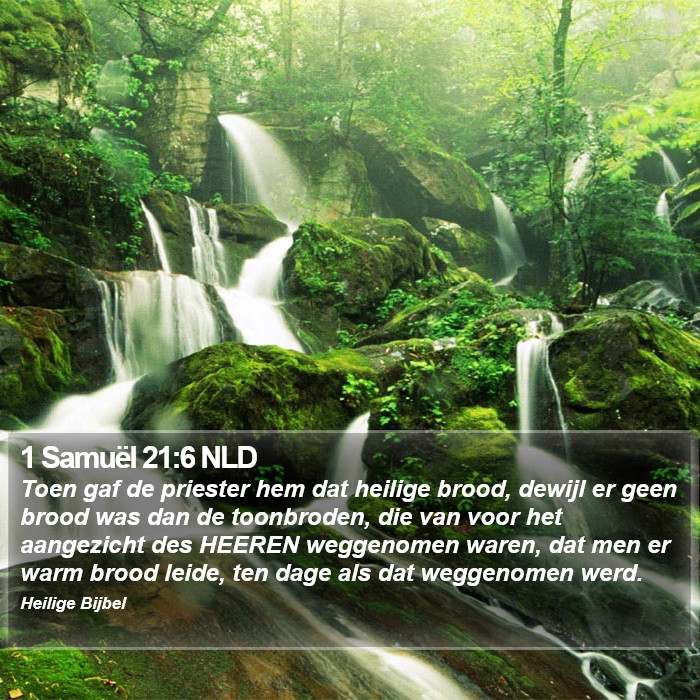 1 Samuël 21:6 NLD Bible Study