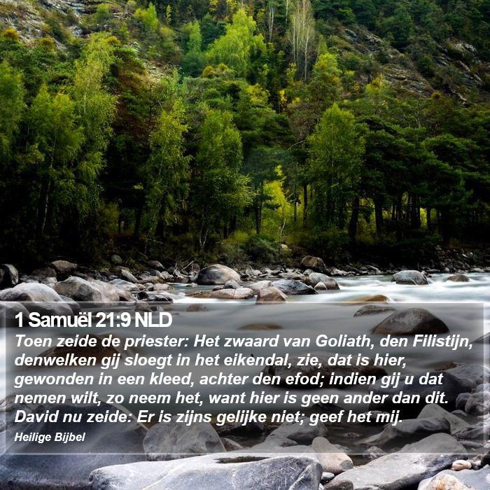 1 Samuël 21:9 NLD Bible Study