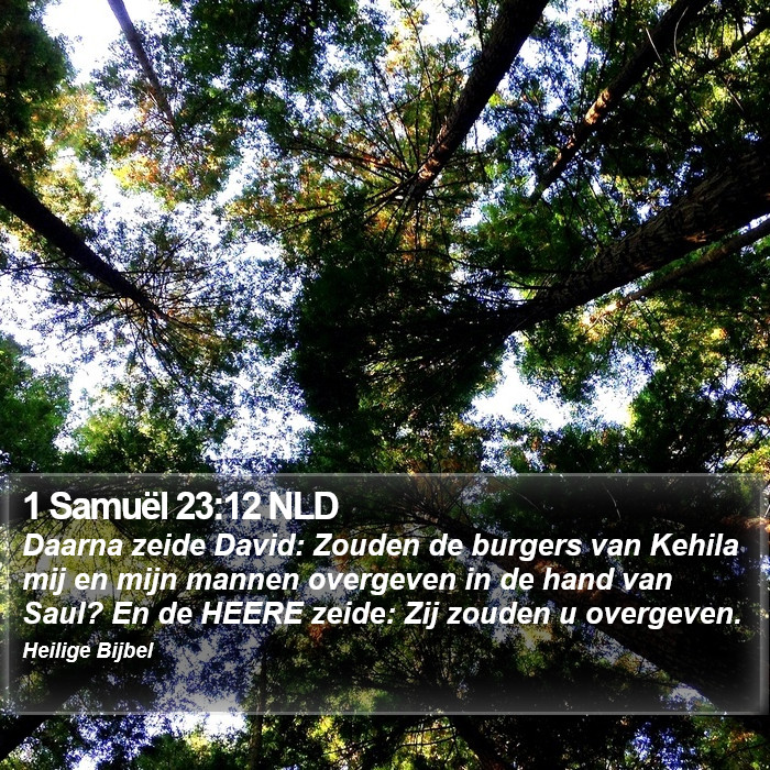 1 Samuël 23:12 NLD Bible Study