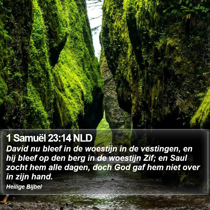 1 Samuël 23:14 NLD Bible Study