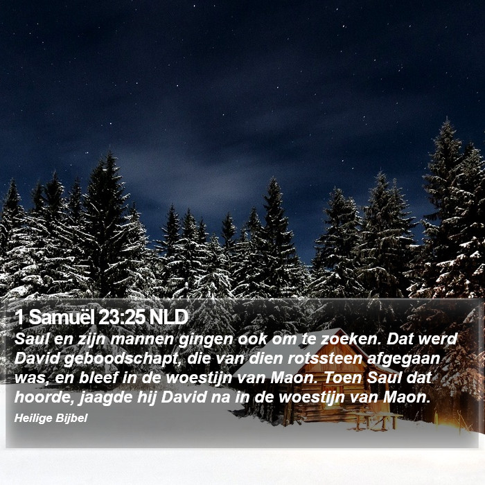 1 Samuël 23:25 NLD Bible Study