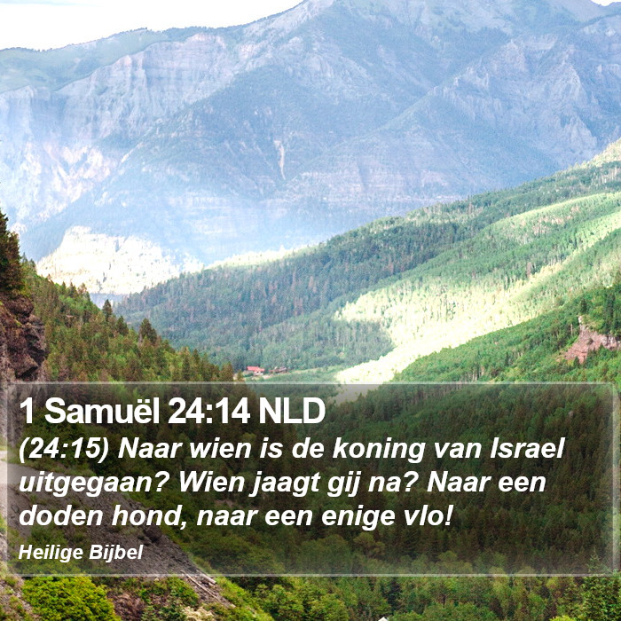 1 Samuël 24:14 NLD Bible Study