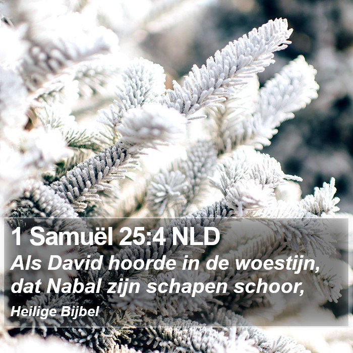 1 Samuël 25:4 NLD Bible Study