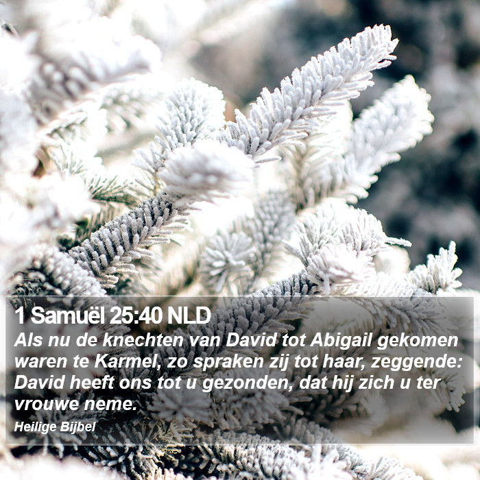 1 Samuël 25:40 NLD Bible Study