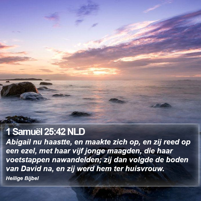 1 Samuël 25:42 NLD Bible Study