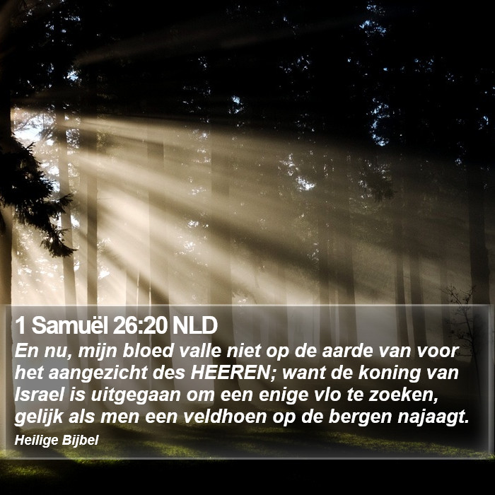 1 Samuël 26:20 NLD Bible Study