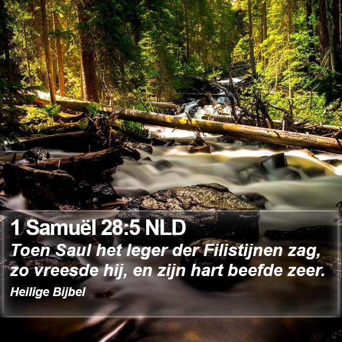 1 Samuël 28:5 NLD Bible Study