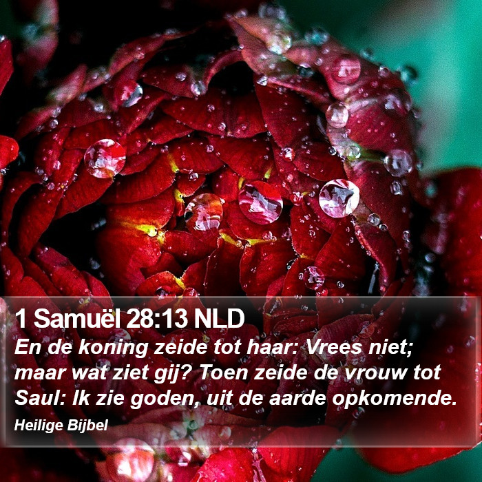 1 Samuël 28:13 NLD Bible Study