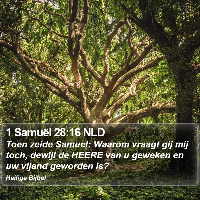 1 Samuël 28:16 NLD Bible Study