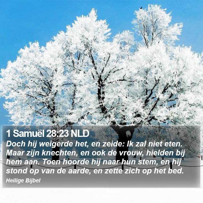 1 Samuël 28:23 NLD Bible Study