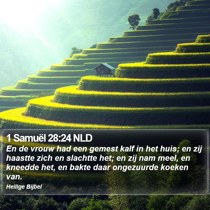 1 Samuël 28:24 NLD Bible Study