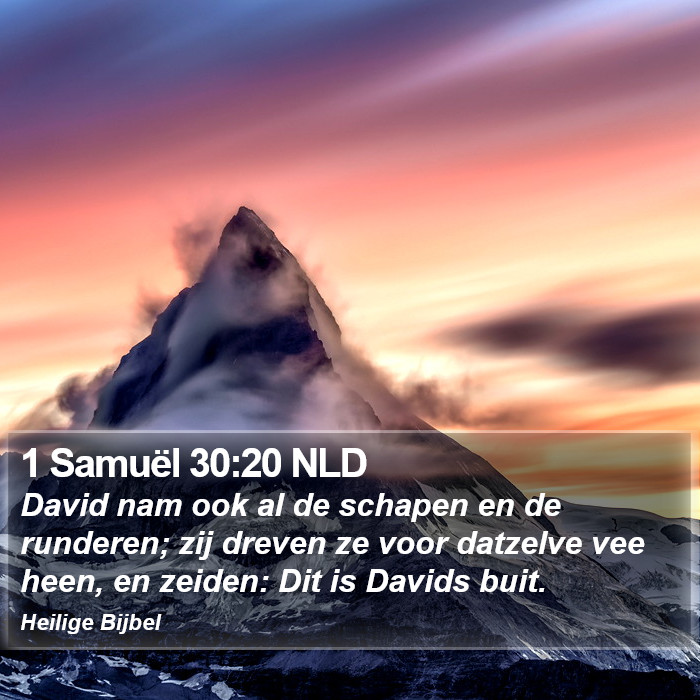 1 Samuël 30:20 NLD Bible Study