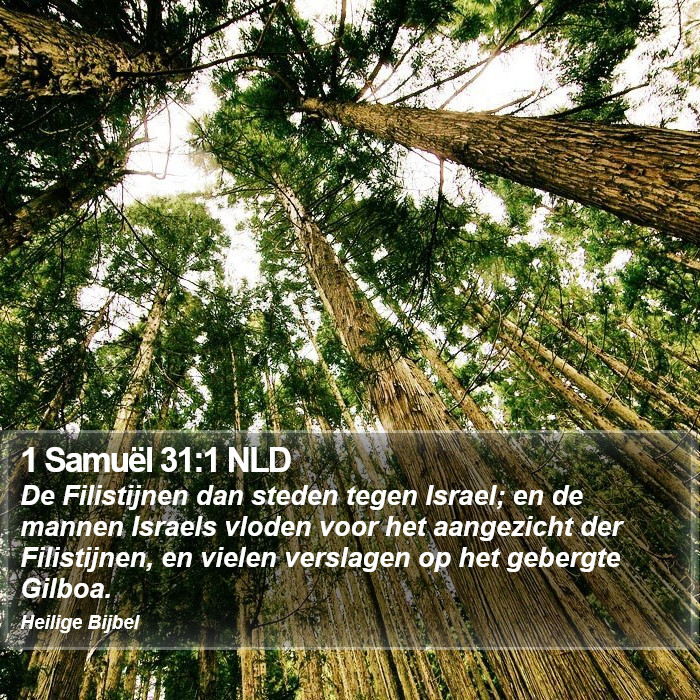 1 Samuël 31:1 NLD Bible Study