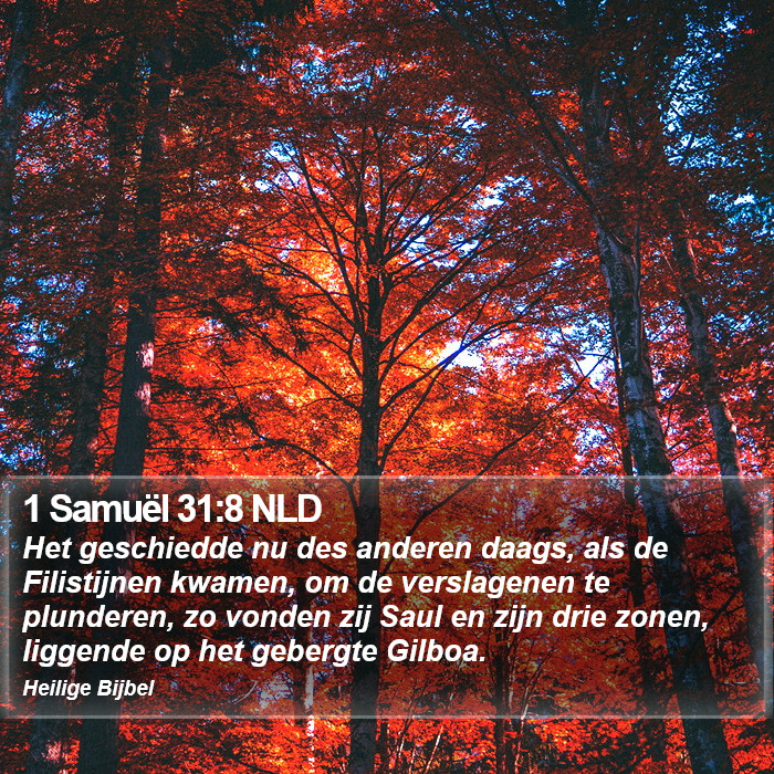 1 Samuël 31:8 NLD Bible Study