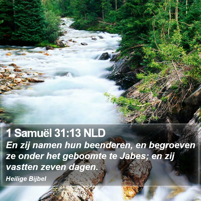 1 Samuël 31:13 NLD Bible Study