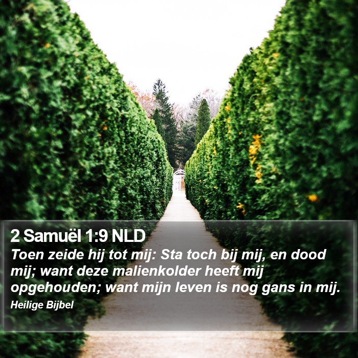 2 Samuël 1:9 NLD Bible Study