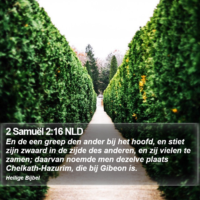 2 Samuël 2:16 NLD Bible Study