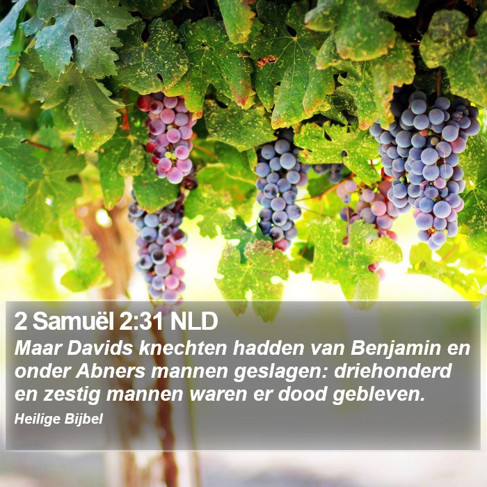 2 Samuël 2:31 NLD Bible Study