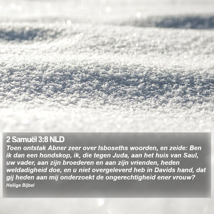 2 Samuël 3:8 NLD Bible Study