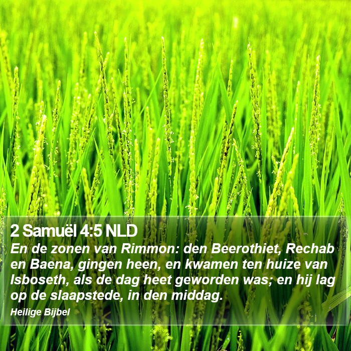 2 Samuël 4:5 NLD Bible Study