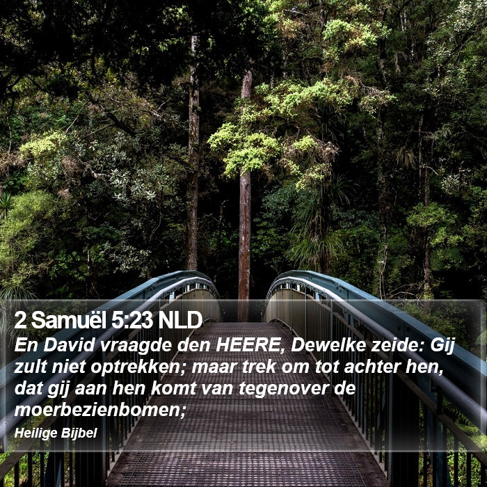 2 Samuël 5:23 NLD Bible Study