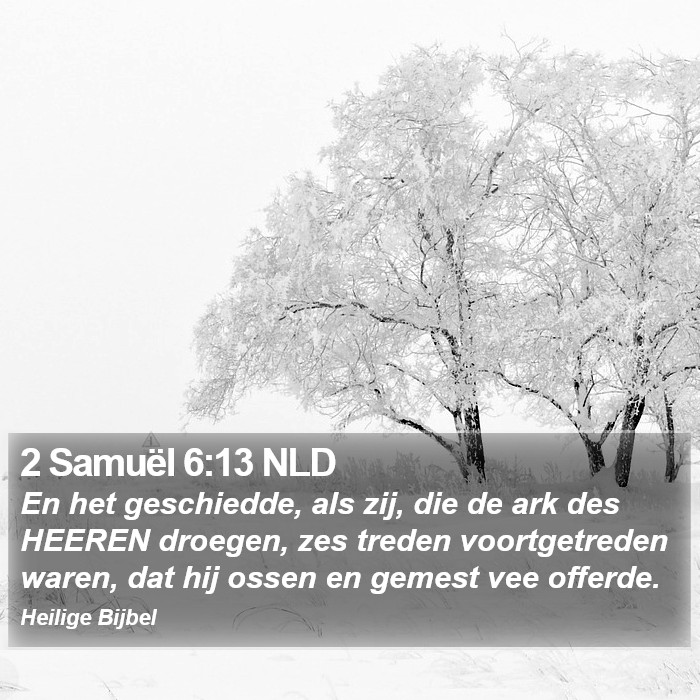 2 Samuël 6:13 NLD Bible Study
