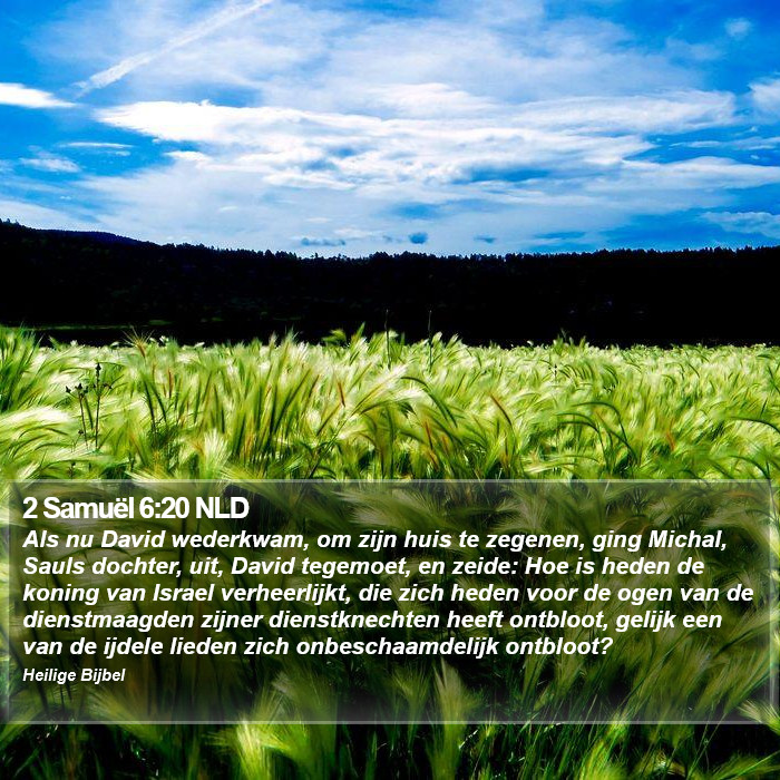 2 Samuël 6:20 NLD Bible Study