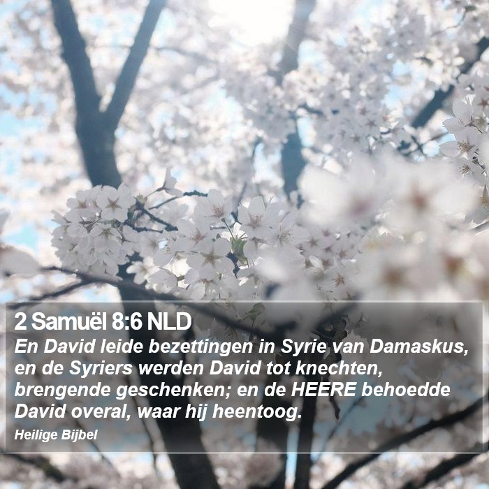2 Samuël 8:6 NLD Bible Study