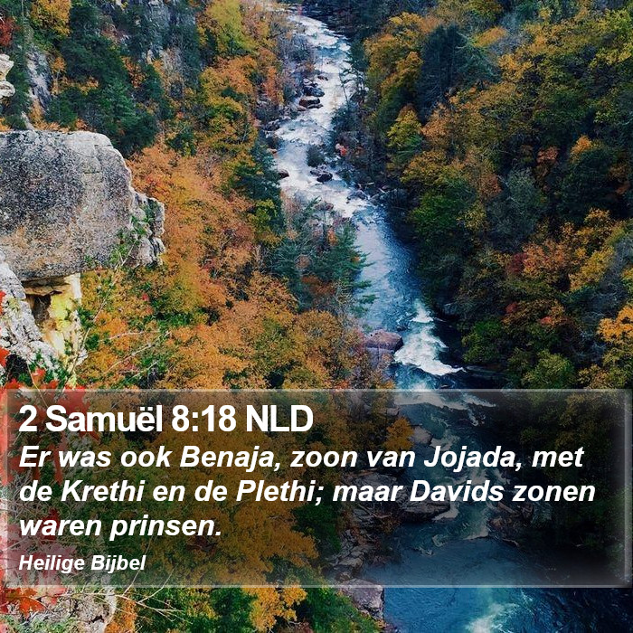 2 Samuël 8:18 NLD Bible Study