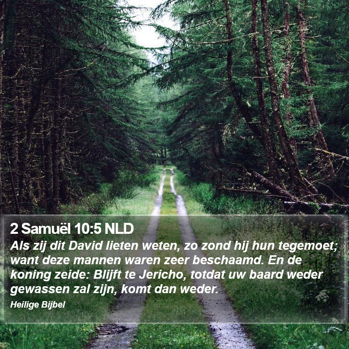 2 Samuël 10:5 NLD Bible Study